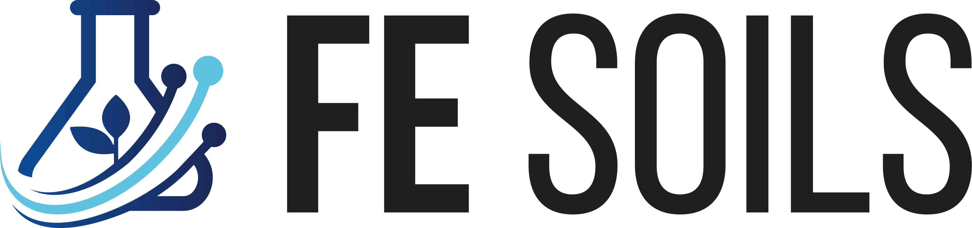 FE Soils